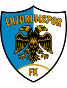 Erzurumspor FK